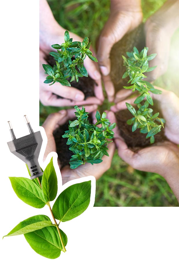 Hände halten Pflanzen mit Erde, dies steht für Nachhaltigkeit: ausschließlicher Einsatz von Mehrweg-und Recycle-Verpackungen, kompletter Verzicht auf Kunststoffverpackungen.